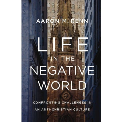Life in the Negative World - by Aaron M Renn (Hardcover)
