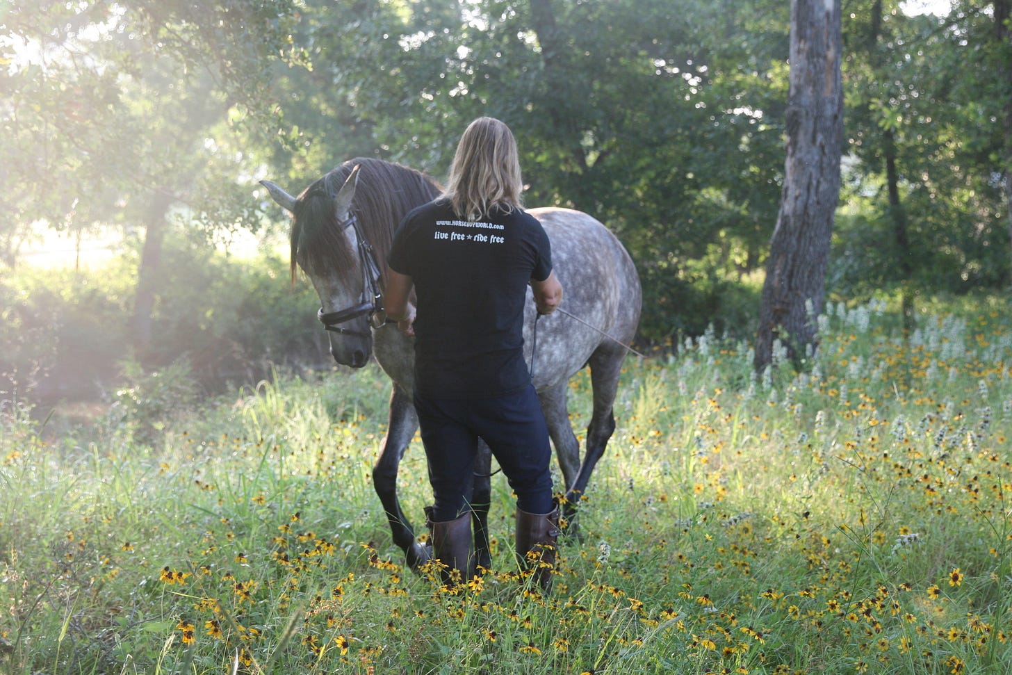 Classical Dressage in Nature