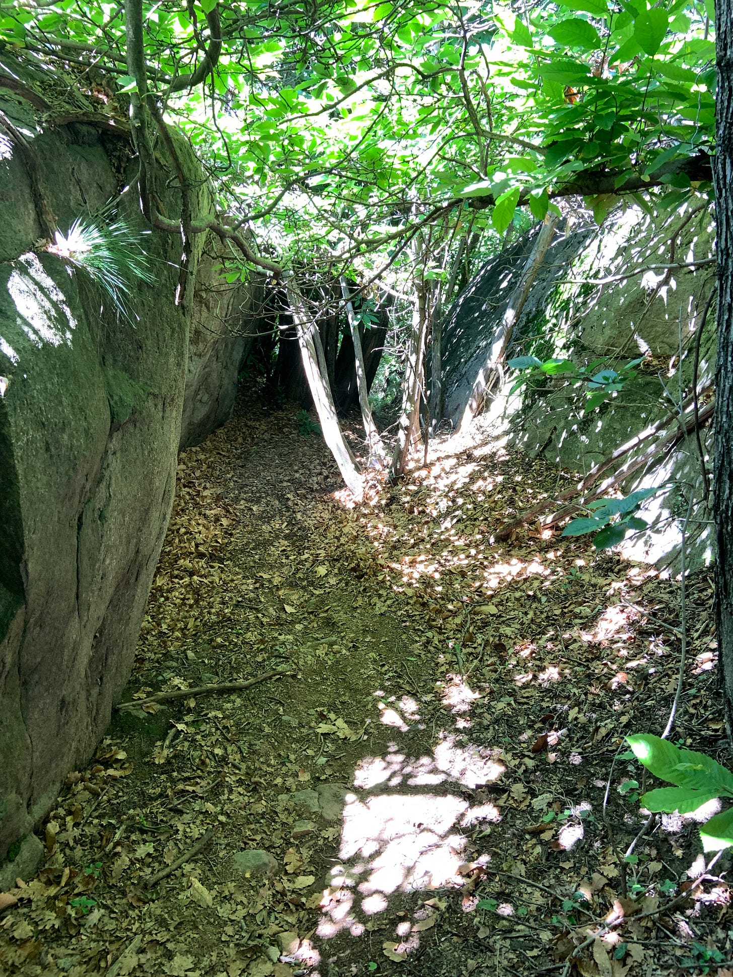 It's Important To Have Company To Enjoy The Adventure. As you navigate through unfamiliar territories, facing challenges and experiencing moments of wonder, having someone by your side to share in the excitement and offer support can make the journey all the more special. 