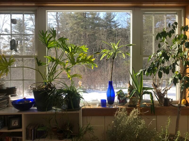 Fotografía desde el interior de una habitación del sol en Massachusetts
