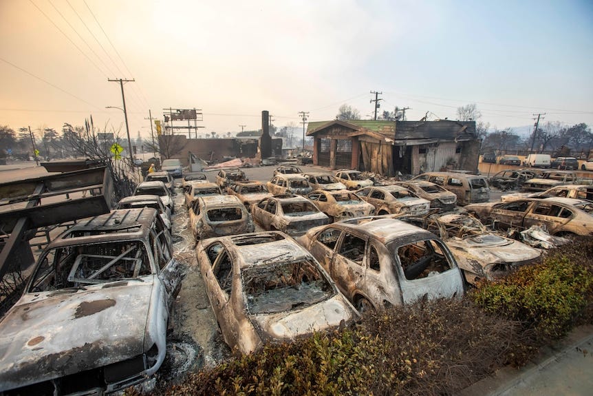 Rows of burnt out cars in a yard beside a blackened building.