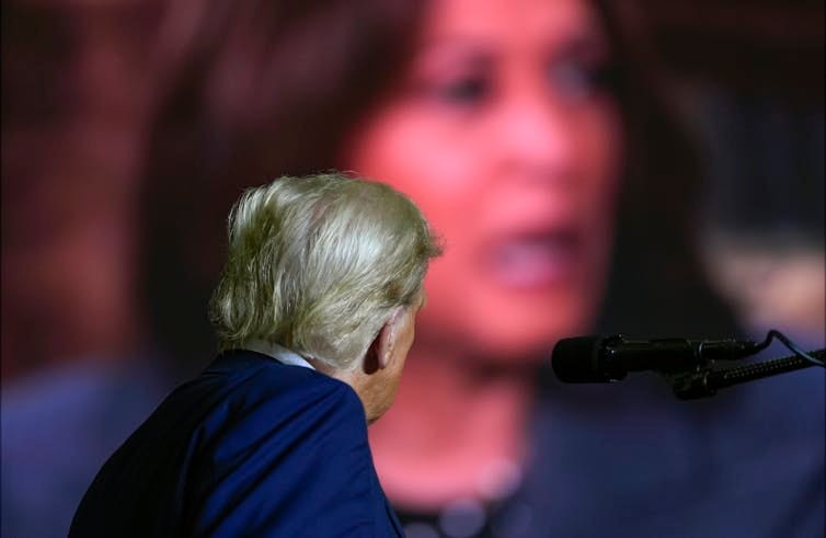 The back of a man's head with blond-grey hair watching a video of a dark-haired woman on a large screen.