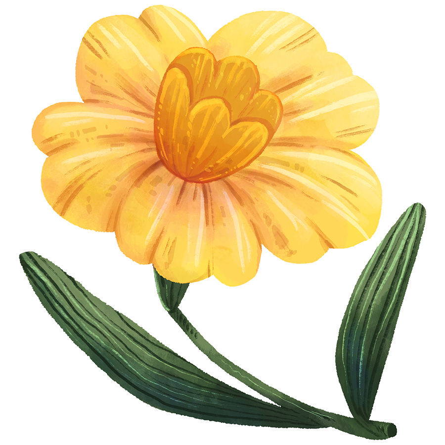 A digital illustration of a stylized daffodil