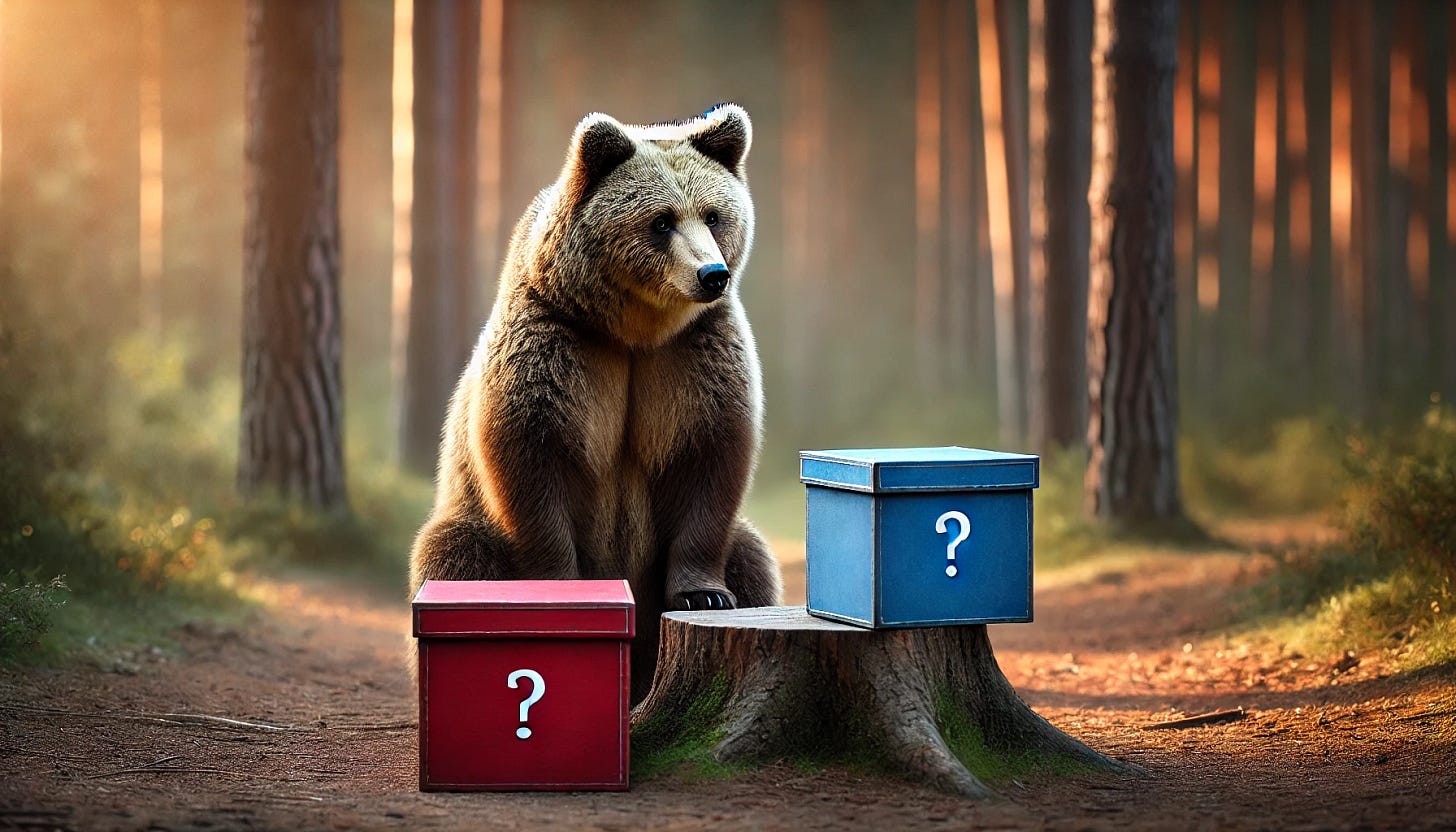 A bear sitting in front of two boxes: one red and one blue. The bear appears to be contemplating its choice, looking curiously at the boxes. The setting is a peaceful forest clearing with soft natural light. The boxes are placed on a tree stump, and they have a slight glow, adding to their mysterious appearance. The bear's expression is thoughtful, as if considering an important decision.