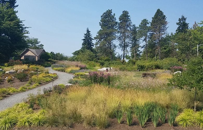 Filled with youthful energy and musical wildlife, the Urban Meadow Garden  is growing into its lively vibe | The Seattle Times