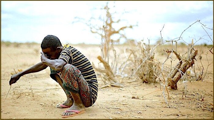 boy dry weeds