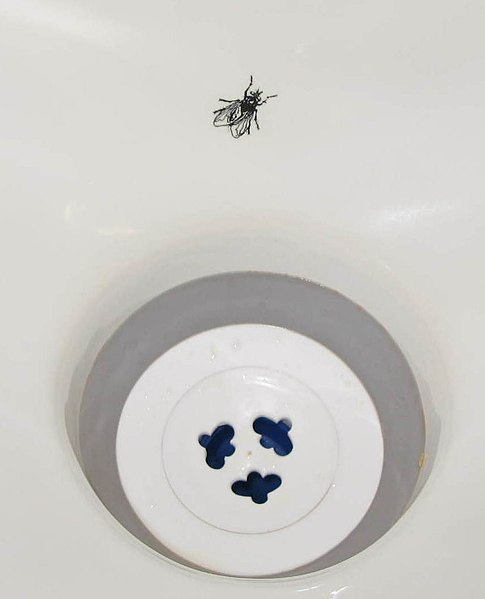 the fly in the urinal