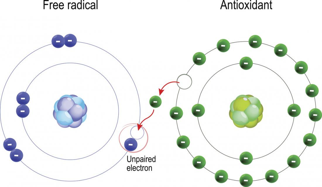 an image where antioxidant transferring one electron to free radical molecule to stabilize it.