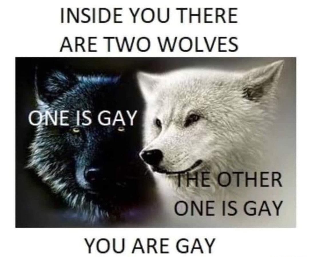 Inside you there are two wolves — one is gay, the other one is gay — you are gay. Meme featuring one white wolf and one black wolf, both are gay.