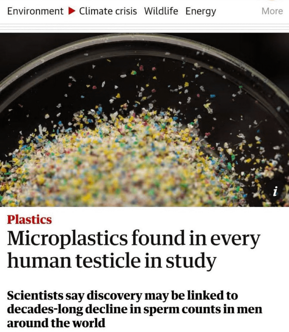 Microplastics found in every male testicle : r/Damnthatsinteresting