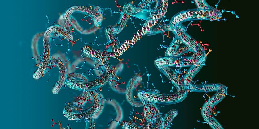 UW’s Baker Lab researchers make AI strides in drug-like peptides