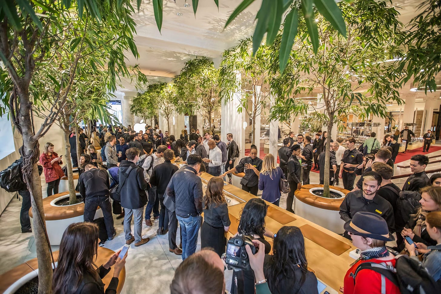 Apple Watch at Selfridges pictured full of customers. Trees line a long table in the center of the room.