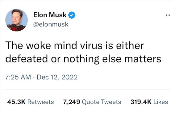 An Elon Musk tweet in which he declares that defeating the Woke Mind Virus is all that matters