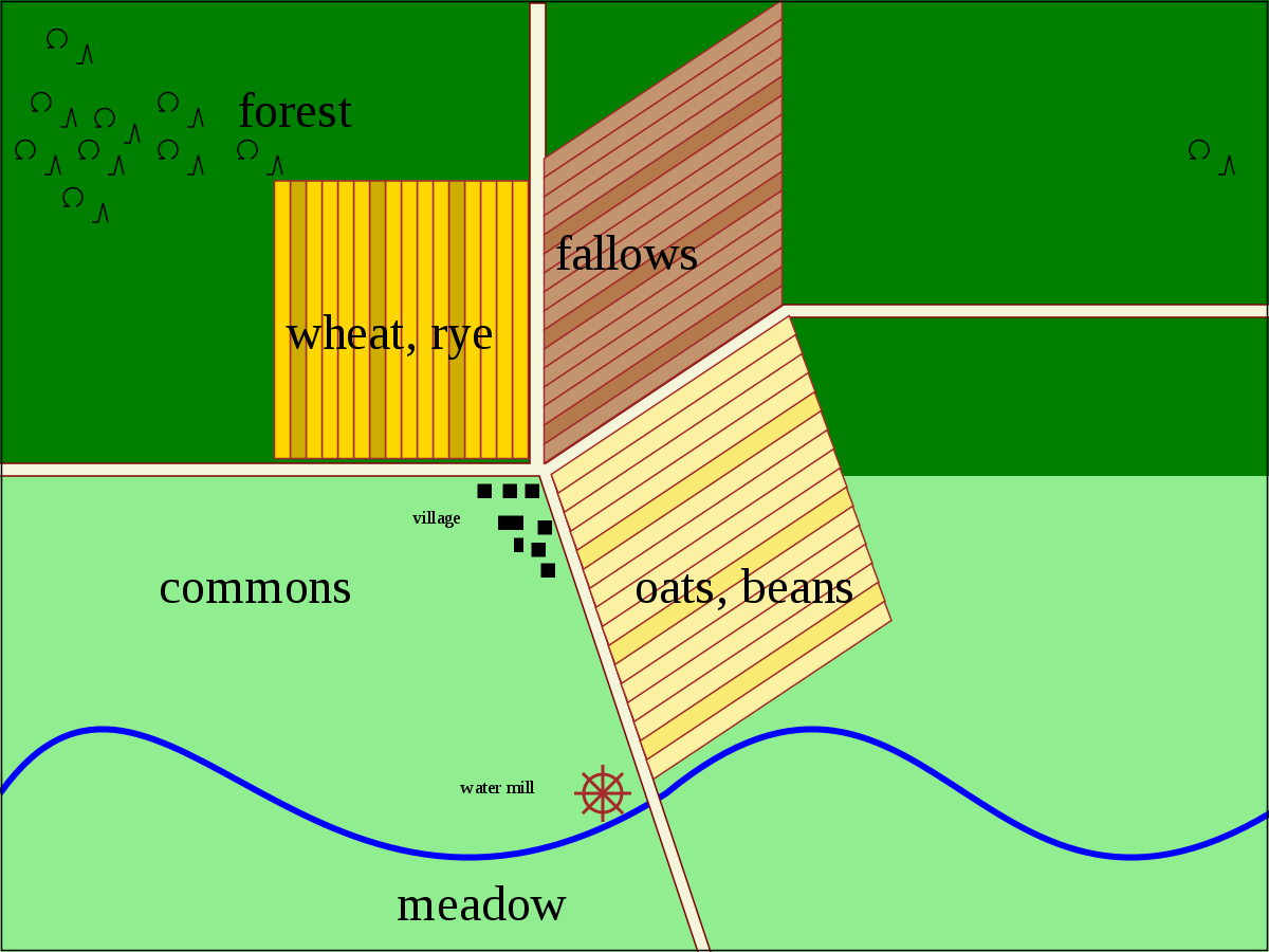 Three-field system - Wikipedia