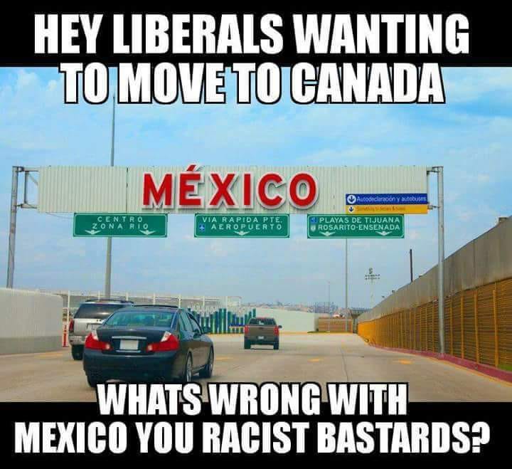 Yes lets move to the whiter than snow canada to prove we arent racists.. -  Meme by wanker :) Memedroid