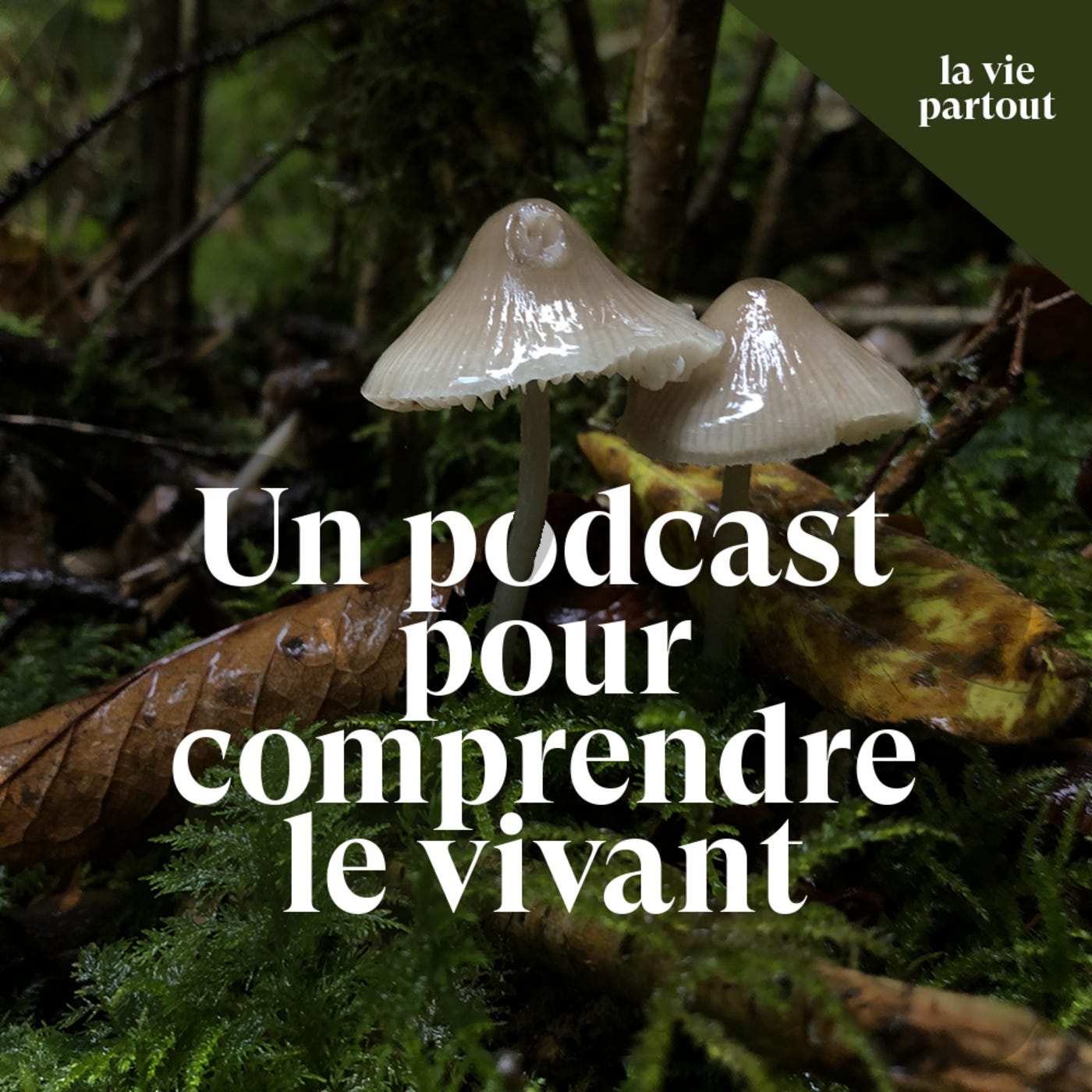 https://podcasts.ouest-france.fr/attachments/images/emission/115/itunes.png
