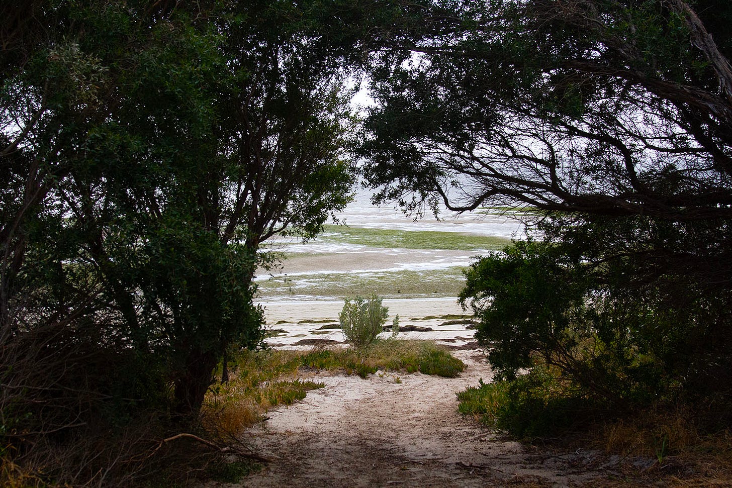 View out onto the sea with tide out.