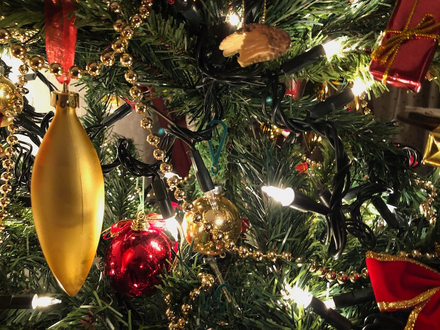 Photo by Author — Christmas Tree