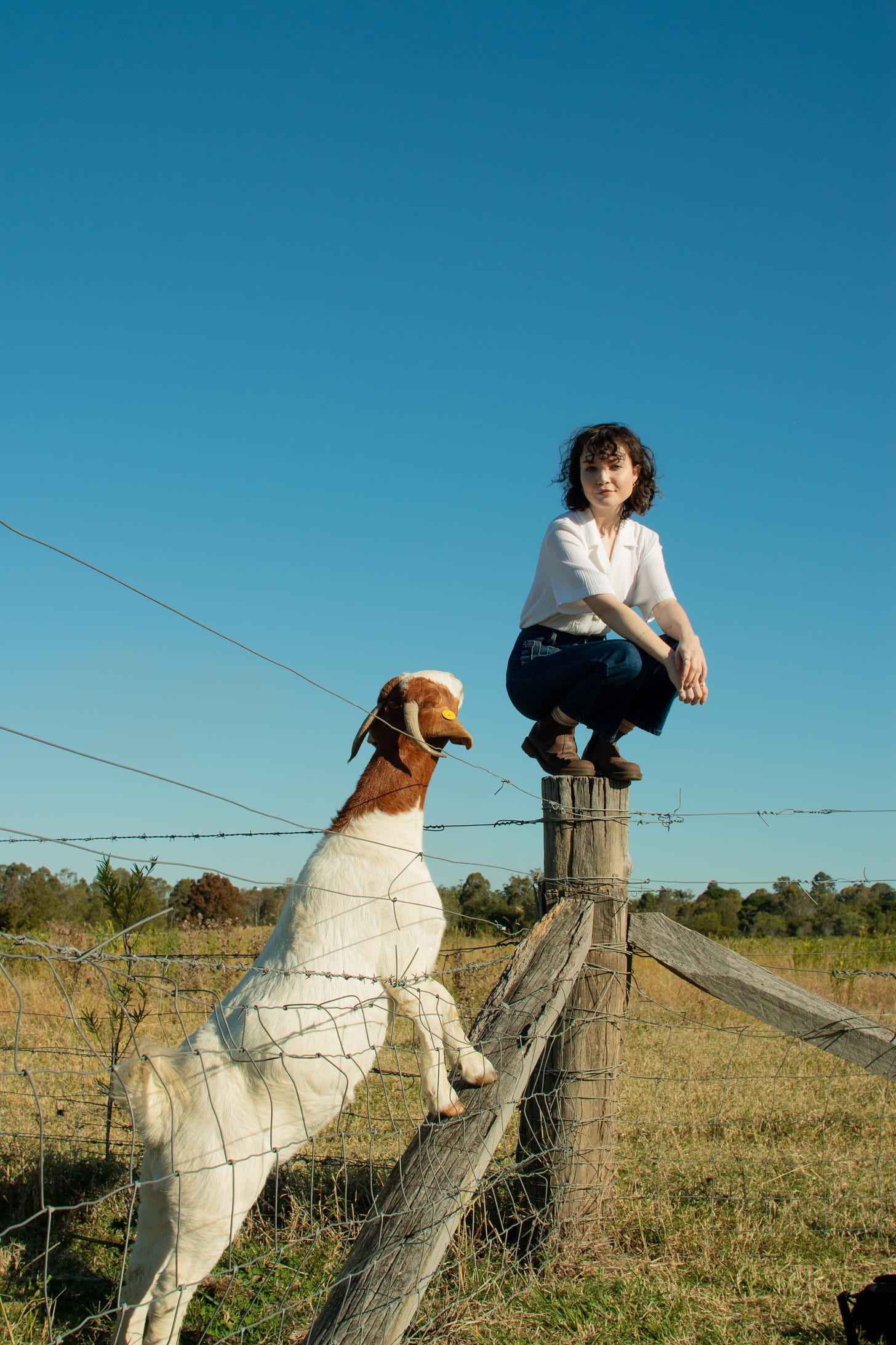 A shot Maggie took of her friend sitting on a fence in Frilly, with a goat standing up on its back legs toward her