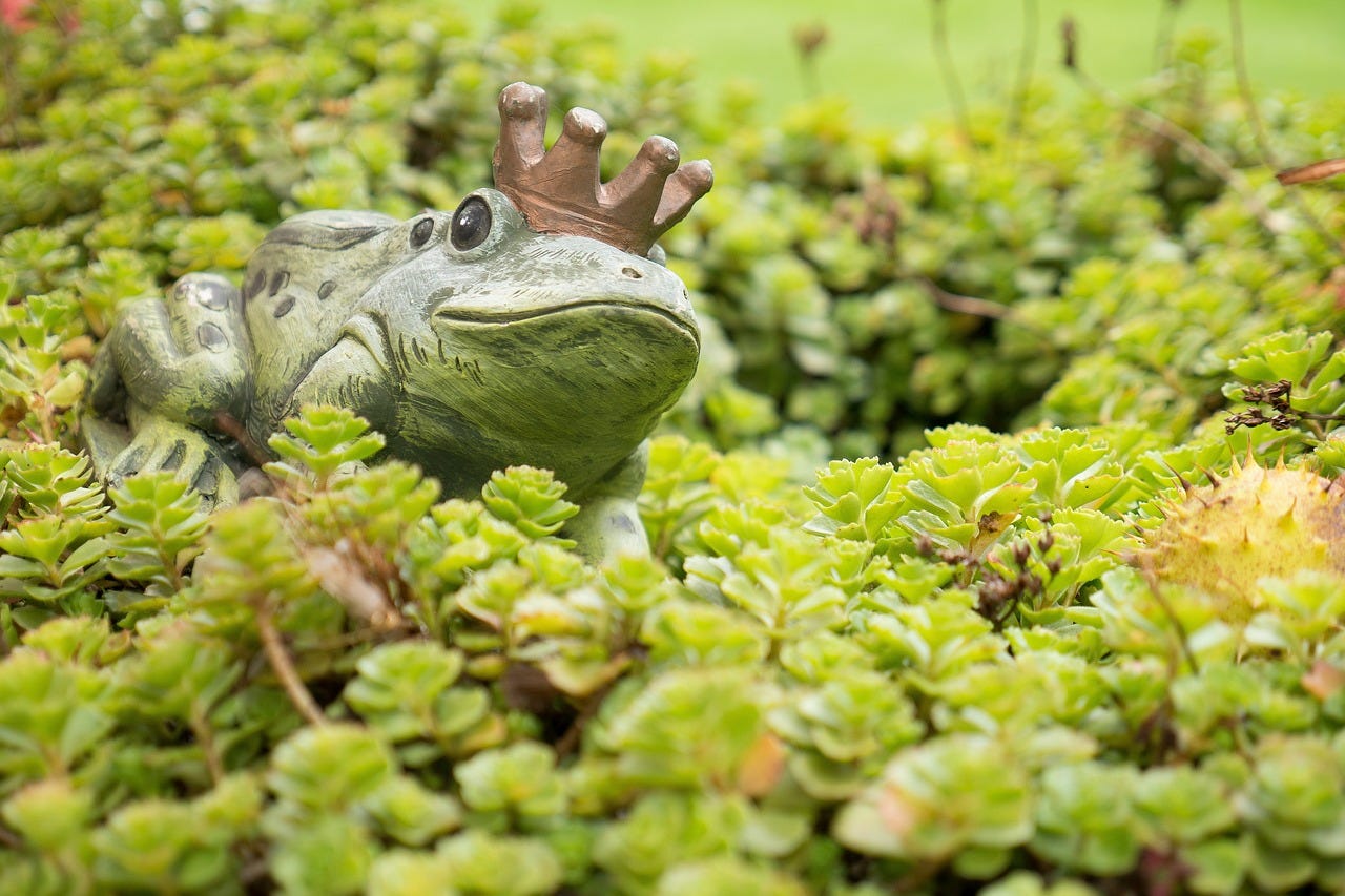 A frog prince figurine in a field of foliage