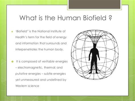 Biofield Anatomy Map : Biofield Tuning Energy Anatomy Youtube / The ...