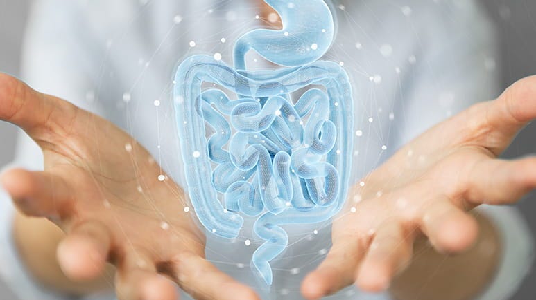 butyrate gut environment energy production