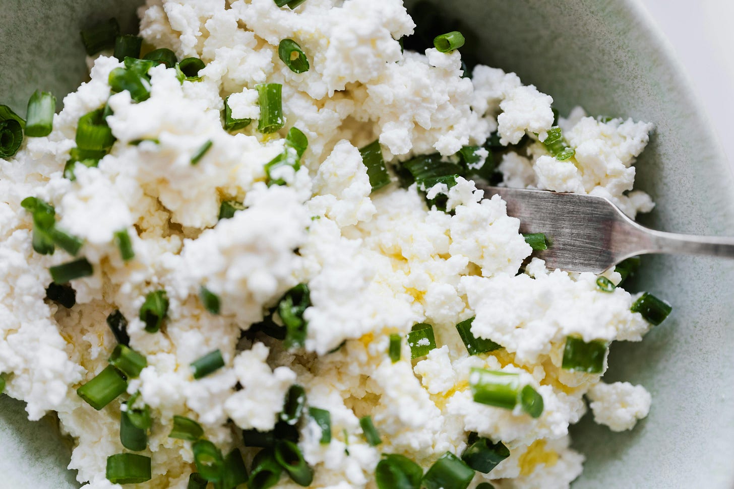 cottage cheese cottage cheese