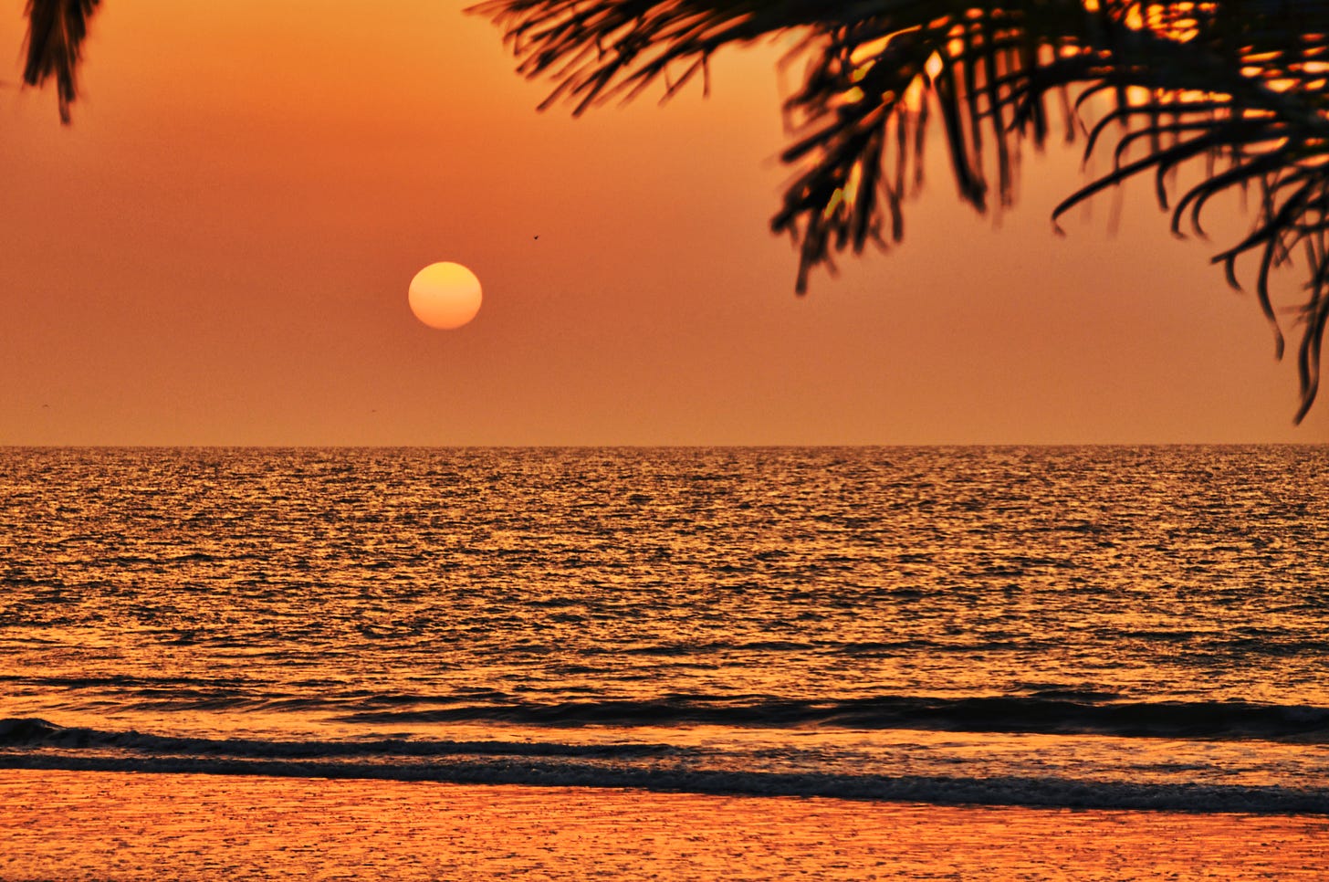 Sunset over the Atlantic Ocean in Serekunda, Gambia, with an orange sun sinking towards the horizon, creating a peaceful atmosphere. Palm leaves frame the scene, adding to the tropical feel.