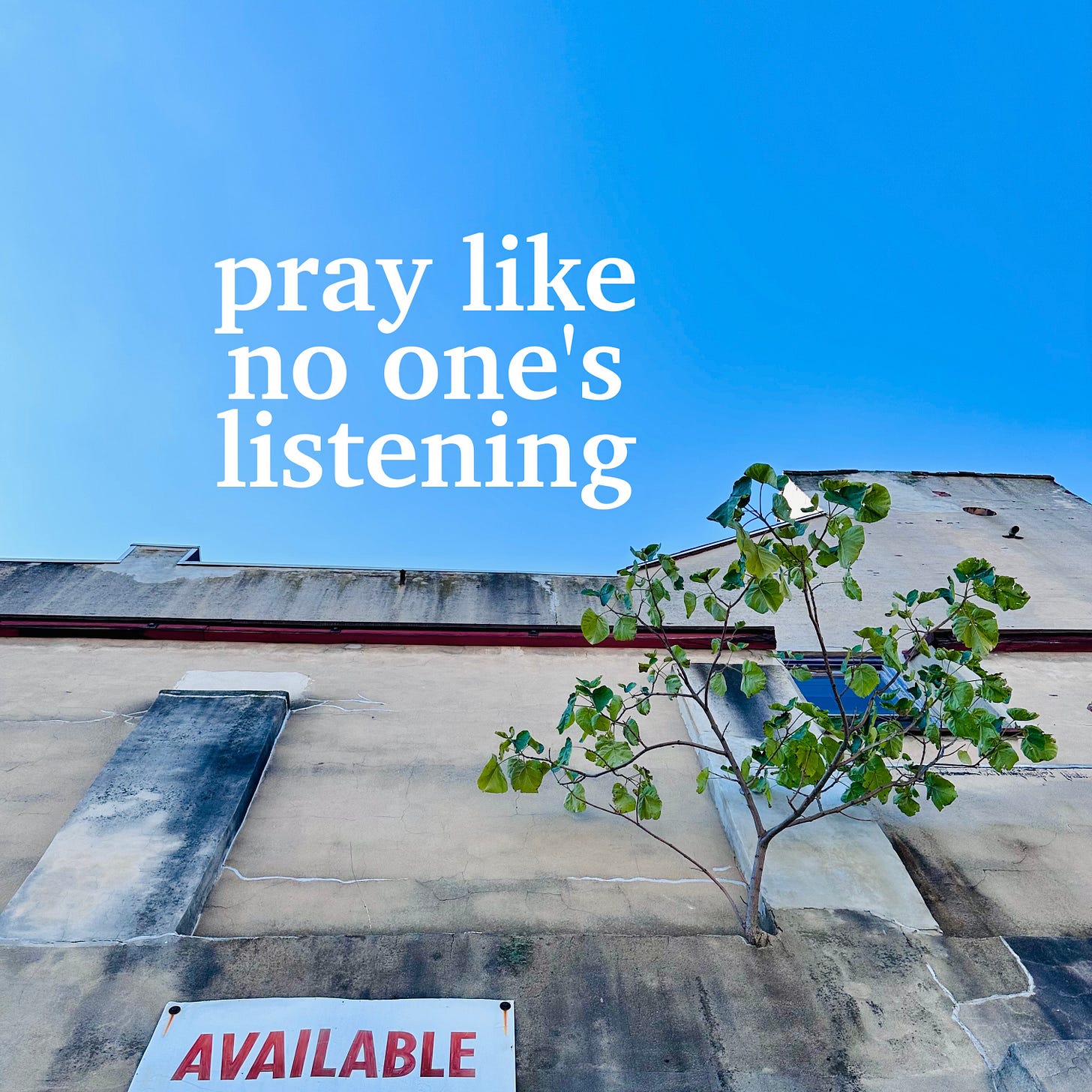 looking up at the side of a mortar building, a sign on the side reads "available" and a red bud tree, perhaps having seen the invitation, grows out of a small ledge in the side of the wall. Words on top of the image read "pray like no one's listening"