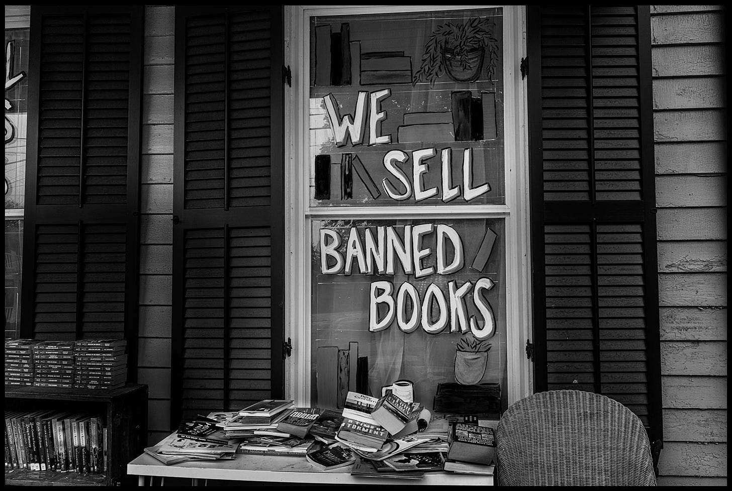 Banning Books A Conversation David Robert Farmerie