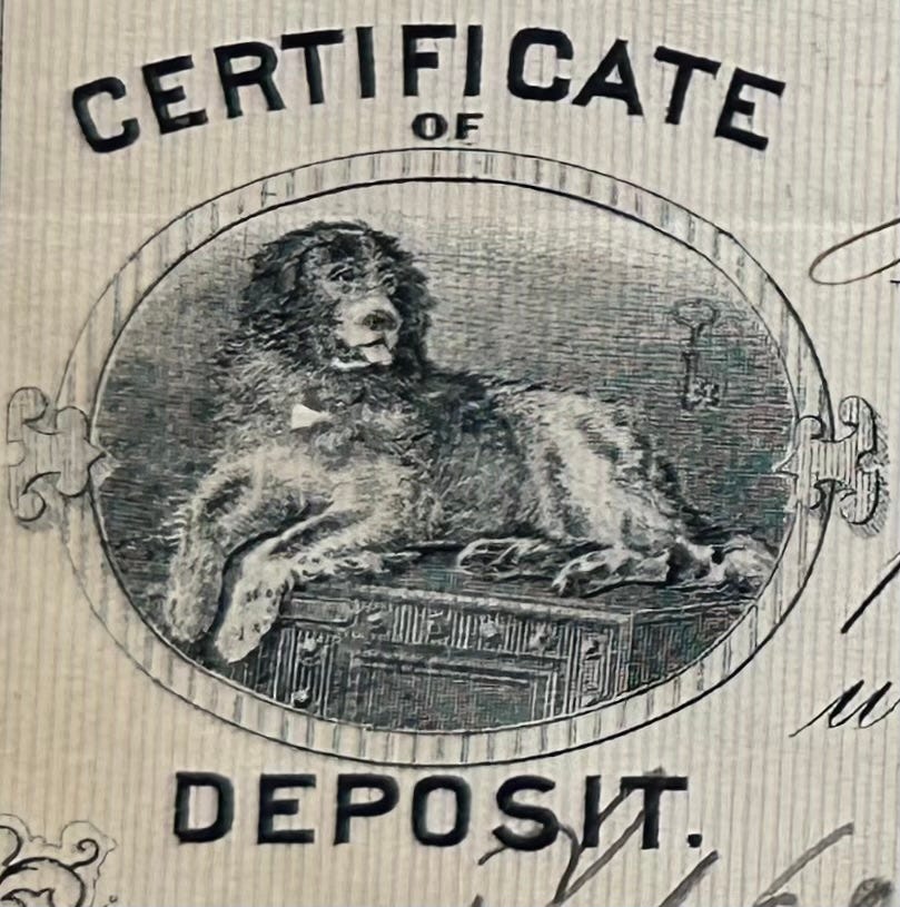 A certificate of deposit with a dog

Description automatically generated