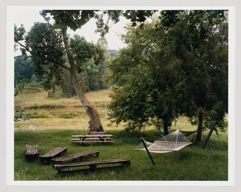 Twin Oaks, Louisa, Virginia, August 2000 by Joel Sternfeld.