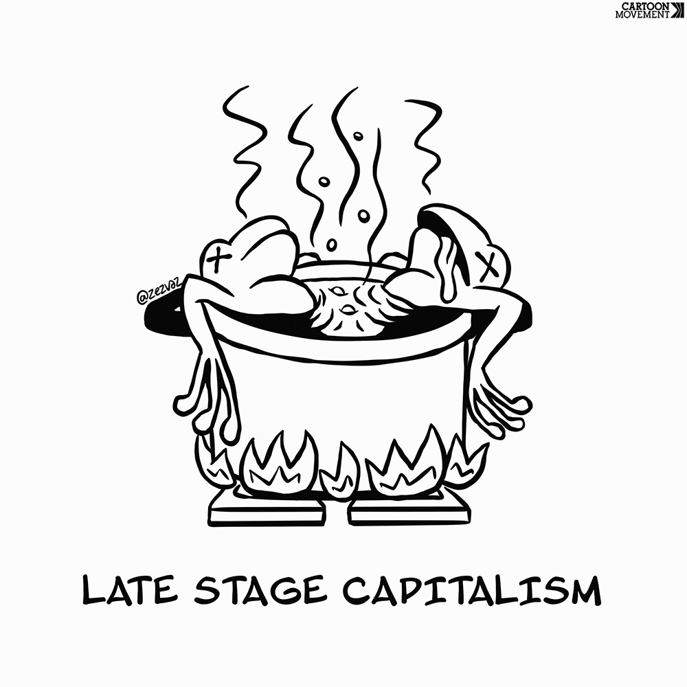 Cartoon showing two frogs in a pot of almost boiling water with a caption beneath that reads 'Late stage capitalism'.