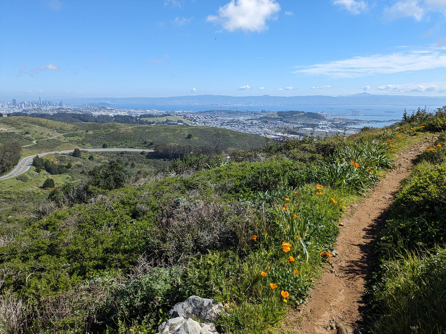 Sweeping view of San Francisco downtown in distance, Bay in background, green hills and wildflowers next to a dirt trail in foreground