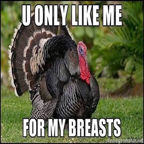 20 Happy Thanksgiving Memes To Help You Celebrate - SayingImages.com |  Funny turkey pictures, Funny thanksgiving memes, Funny turkey