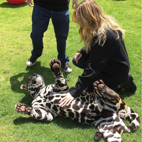 khloe kardashian pride lions 2015 images