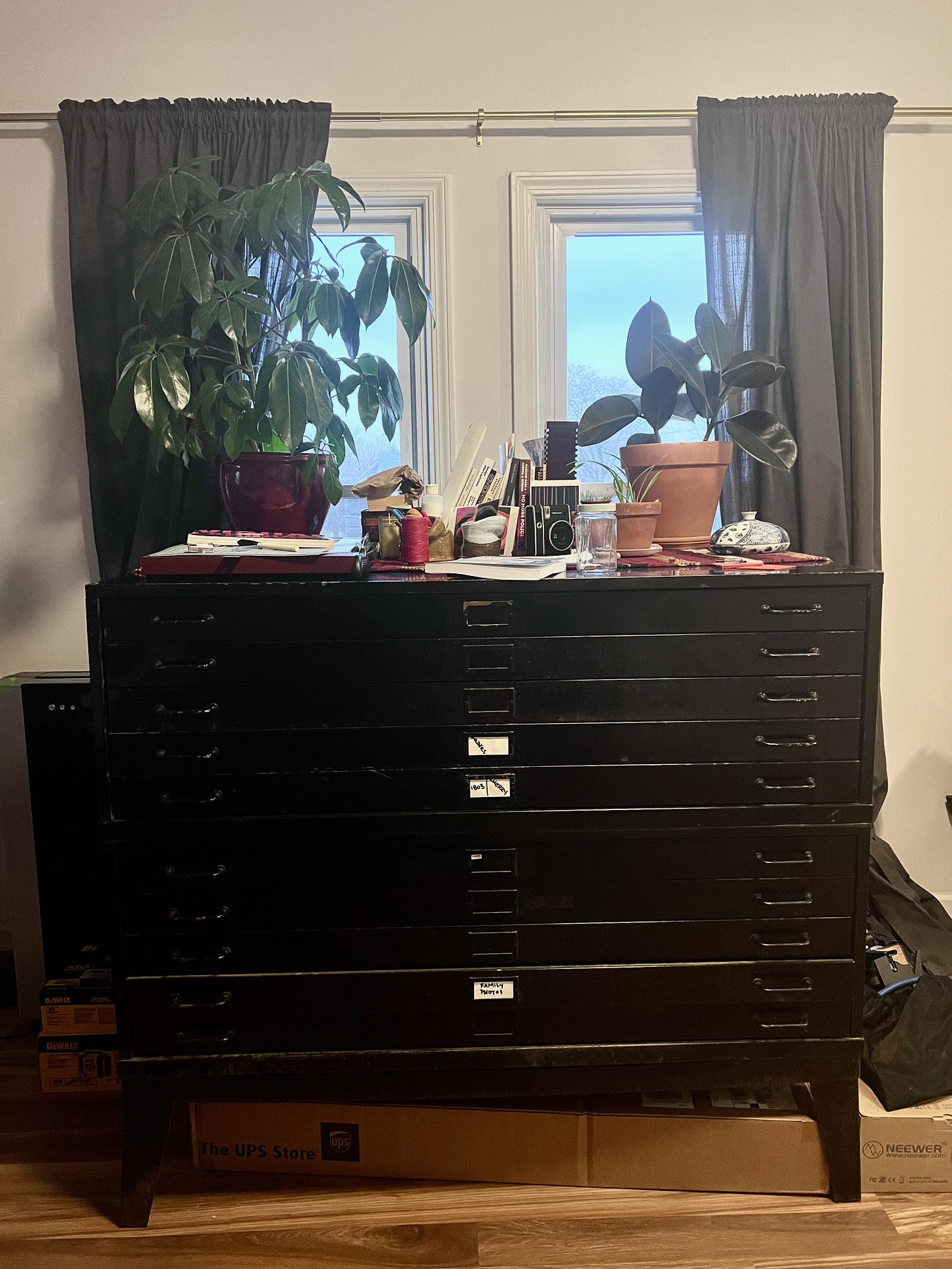a large, black 10-drawer flat file with a bunch of junk (plants, papers, cameras) on top
