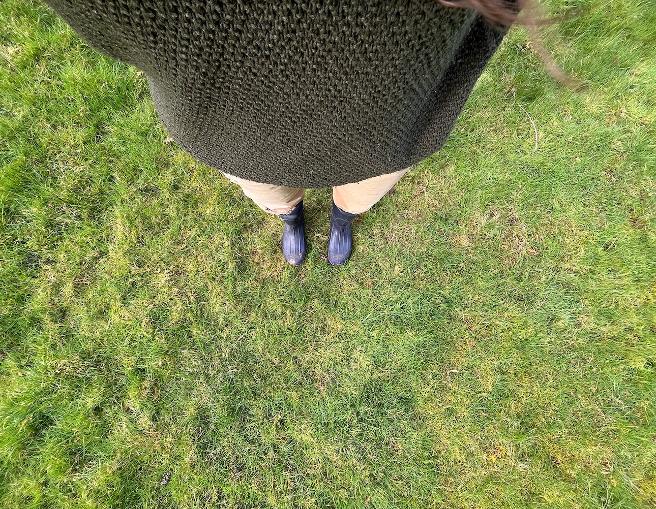 Grass lawn, rain boots, dark green wool sweater.
