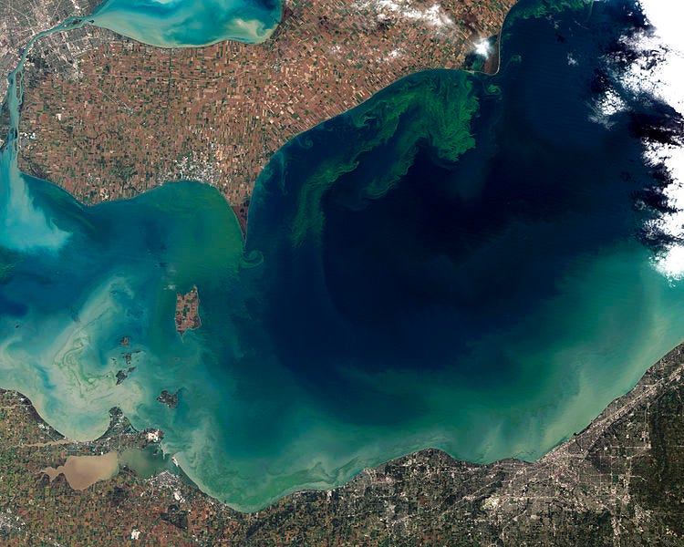 File:Toxic Algae Bloom in Lake Erie.jpg File:Toxic Algae Bloom in Lake Erie.jpg
