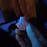 An image of fingers holding a percy pig sweet with both ears bitten off