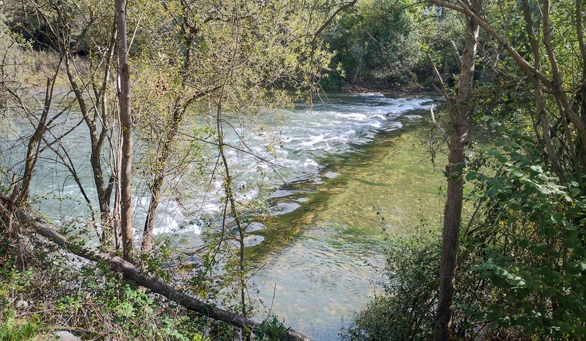 Pequeño salto de agua en el río Caudal