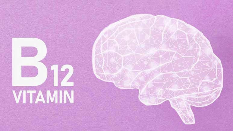 vitamin b12 brain function