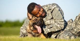 military dogs on National K-9 Veterans Day