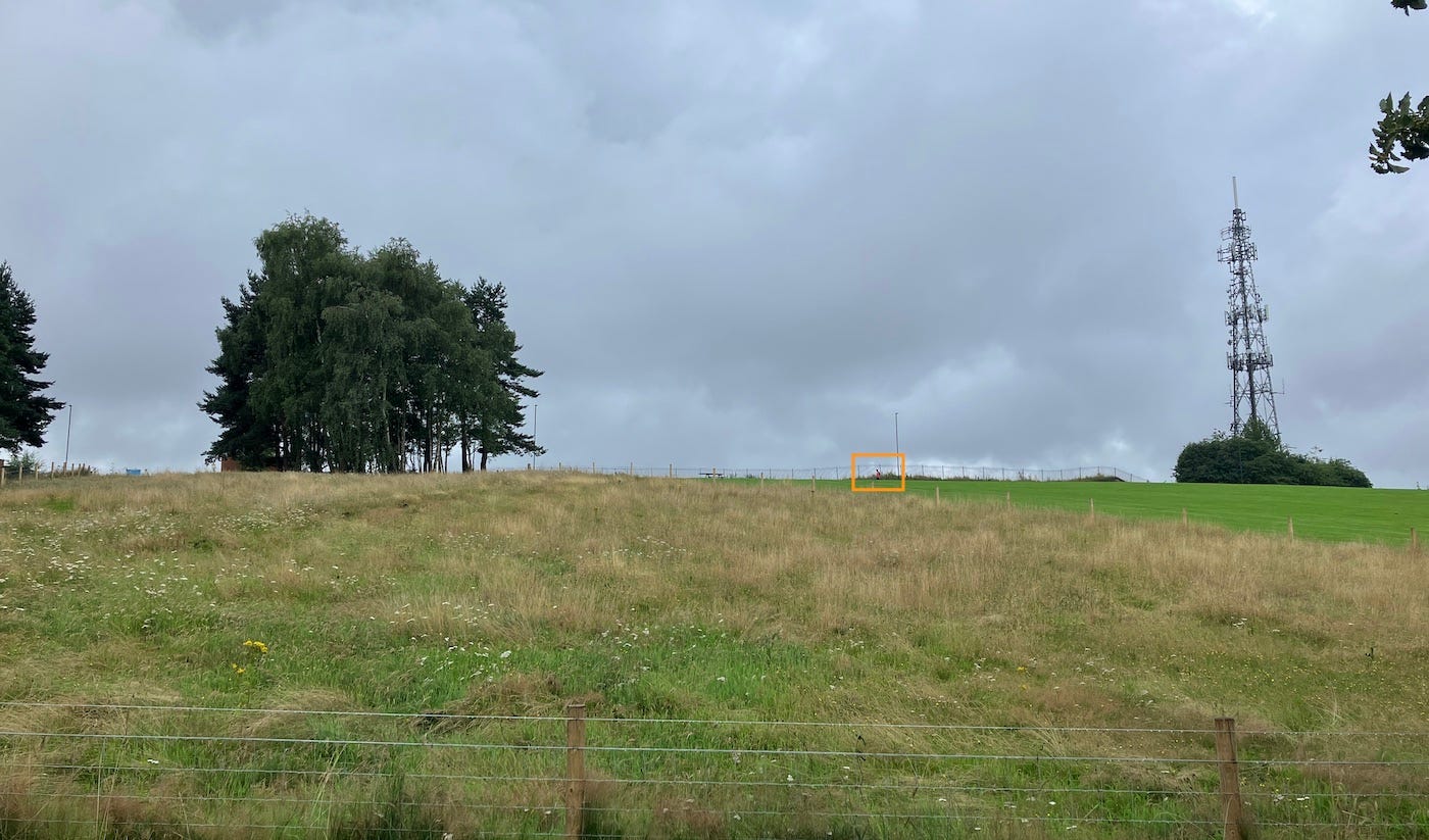 Scrubby grass in the field, looking uphill to the TV mast