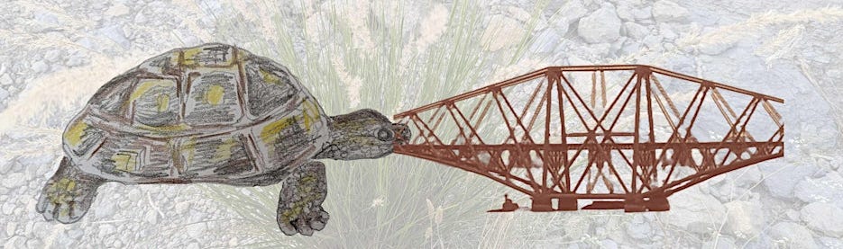 drawing of a tortoise with segment of the Forth Rail Bridge