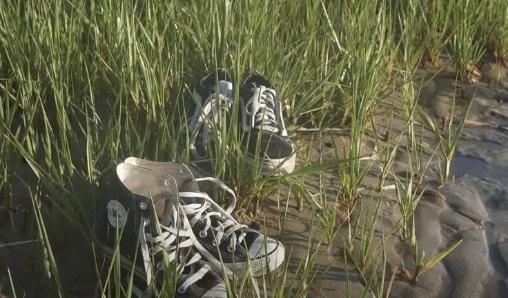 This may contain: two pairs of shoes are sitting in the tall grass by the water's edge