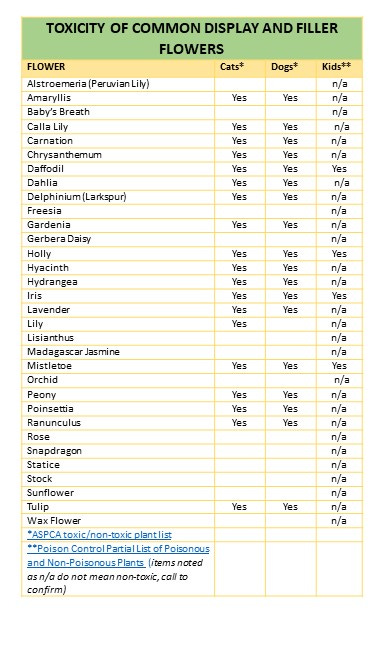 Chart of 30 common flowers and toxity indicator for kids and pets