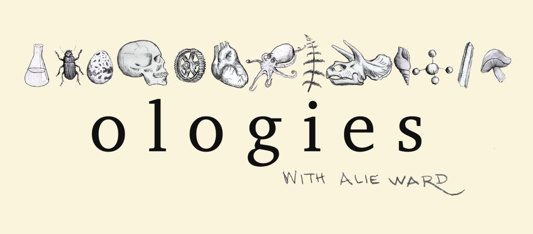 Ologies Podcast Merchandise Store