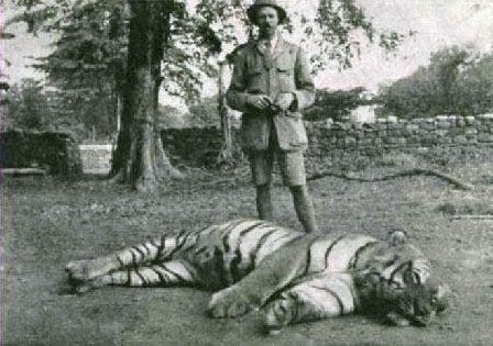 Why did it take so long to kill the Champawat Tiger? - Quora