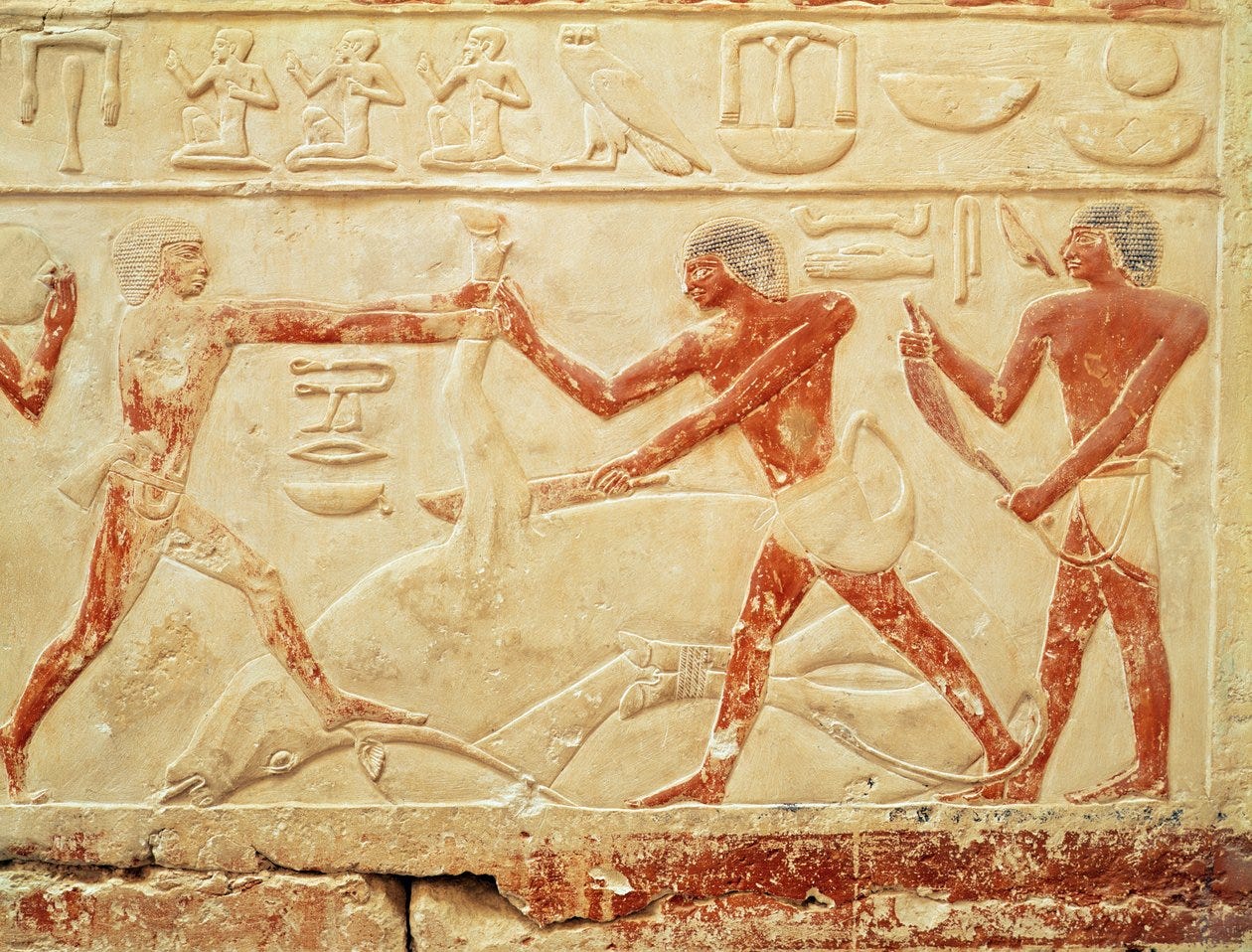 Butchers Slaughtering an Ox, relief from the Tomb of Princess Idut, Old Kingdom, c.2330 BC by Egyptian 6th Dynasty